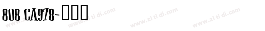 808 CA978字体转换